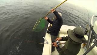 Santa Cruz Salmon Fishing  Losing A Big One At The Boat [upl. by Settera]