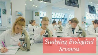 Studying Biological Sciences [upl. by Kwabena521]