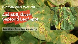 Septoria Leaf spot of Tomatosympsampcontrol measuresಟೊಮ್ಯಾಟೋ ಎಲೆ ಚುಕ್ಕಿ ರೋಗ ಲಕ್ಷಣಗಳು amp ಹತೋಟಿ ಕ್ರಮಗಳು [upl. by Lamok]