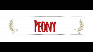 American vs Australian Accent How to Pronounce PEONY in an Australian or American Accent [upl. by Serene]