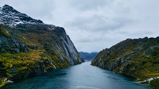 精靈峽灣｜ Trollfjord ｜lofoten ｜挪威 ｜DRONE ｜ Norway [upl. by Kemp633]