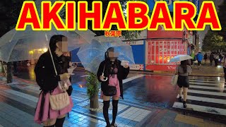 Akihabara Walk in Tokyo Tokyo walking Japan maid akihabara [upl. by Htnnek]