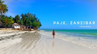 VLOG 46 Zanzibar Tanzania [upl. by Philander43]