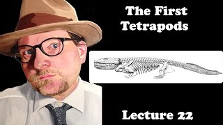 Lecture 22 The First Tetrapods [upl. by Ym]