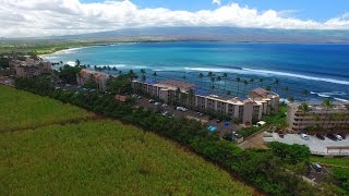 Maalaea Harbor Maui Hawaii [upl. by Klimesh494]