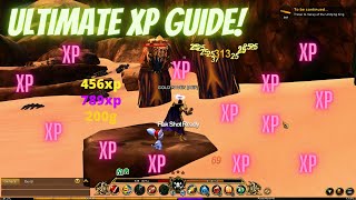 AQ3D Ultimate XP amp Class XP Guide FAST EXP AdventureQuest 3D [upl. by Gerc]