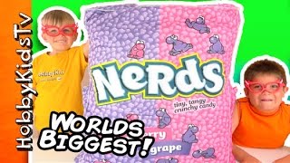 GIANT Box of NERDS With the Hobbykids [upl. by Ynaiffit]