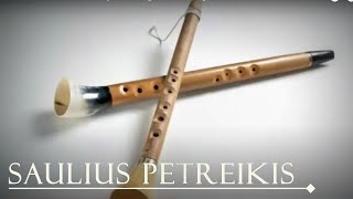 Lithuanian folk instrument Birbyne Baltic Vikings Calm Music Folk Music Saulius Petreikis [upl. by Eegnat]