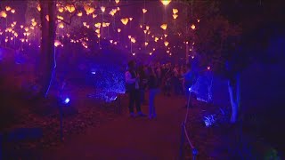 Lightscape returns to San Diego Botanic Garden [upl. by Harrad]