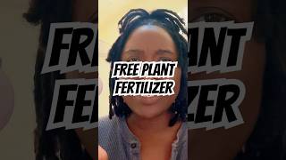 Free plant fertilizer  plants  🌱 homemadefertilizer garden cheapgarden gardening [upl. by Onafets]