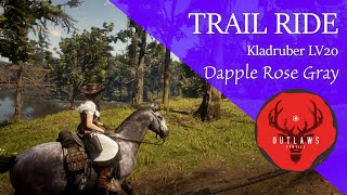 RDR2 Free Roam  Kladruber Dapple Rose Gray  Celtic Music  IRL Horse at end [upl. by Oiromed]