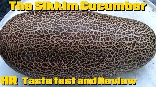 ⟹ Sikkim Cucumber  Cucumis sativus var sikkimensis  Taste test [upl. by Valli]