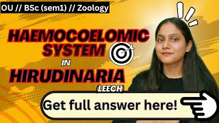 haemocoelomic system in leech  type study of hirudinaria BSc Zoology arsh bionyms  humera [upl. by Shreve]