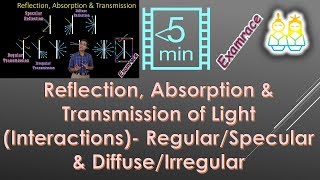 Reflection Absorption amp Transmission of Light Interactions RegularSpecular amp DiffuseIrregular [upl. by Regdirb27]