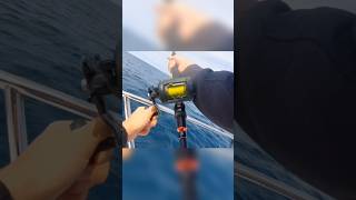 Wreck fishing for pollock with the skerries eel pollock fishing seafishing sidewinder lure [upl. by Collin]