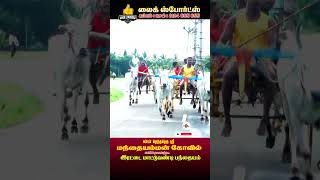 Rekla Race  கம்பம்  மந்தையம்மன் கோவில் திருவிழா  2024 [upl. by Amero147]