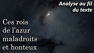 BAUDELAIRE 🔎 Les Fleurs du Mal  LAlbatros Analyse au fil du texte du poème [upl. by Scammon]