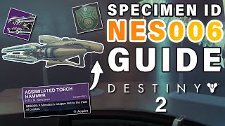 How to Complete Failsafe SPECIMEN ID NES006 Complete Guide ► Destiny 2 [upl. by Reggis]