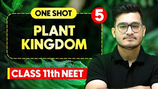 PLANT KINGDOM  Complete Chapter in One Video  ConceptsPYQs  Class 11th NEET [upl. by Nylyram405]