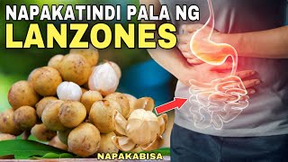 LANZONES 10 HEALTH BENEFITS amp RISKS OF EATING LANZONES FRUIT  Ang dami pala nagagamot ng Lanzones [upl. by Annoyk906]