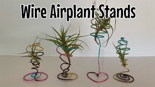 How to make wire Air Plant stands  simple and quick craft 🌿 [upl. by Eciuqram]