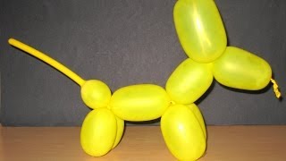 Easy Balloon Animals by Sonia Goyal  Learn Balloon Dog  One of The Easy Balloon Animals [upl. by Evangelina426]