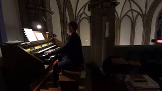 Tochter Zion  Jan Hendrik Pötter an der Orgel [upl. by Dolora]