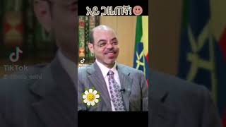 meleszenawi funny enterveiw [upl. by Nomaj46]