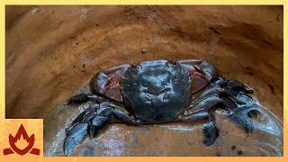 Primitive Technology Crab and Fish Trap [upl. by Nosned]