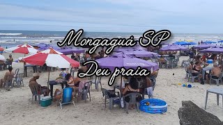 Como estava Praia de Mongaguá neste feriado 15112024 praia verá cruz 🏖️😎 [upl. by Matland]