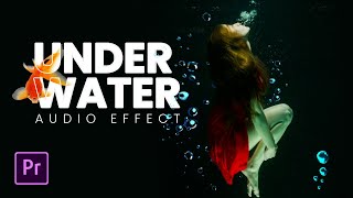 Underwater MUFFLED SOUND Effect in Premiere Pro [upl. by Shelba]