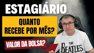 QUANTO UM ESTAGIÁRIO RECEBE POR MÊS  Como calcular [upl. by Maris]