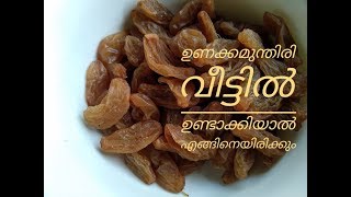 ഉണക്കമുന്തിരിയും ഇനി വീട്ടിൽ തന്നെ  Homemade Golden Raisins ep 21 [upl. by Aylat]