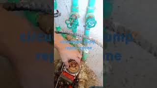 circulation pump repair done shortvideo [upl. by Jilli]