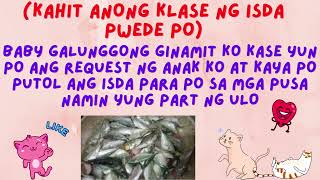 SINAING NA ISDA [upl. by Charline]