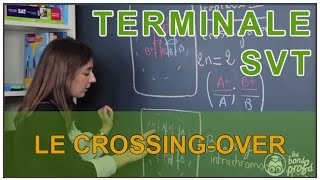 Le crossingover  SVT  Terminale  Les Bons Profs [upl. by Ahon484]