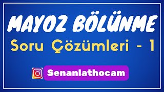 MAYOZ BÖLÜNME SORU ÇÖZÜMLERİ  1  ✅ [upl. by Atalya]