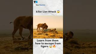 Killer Lion Attack on Human 😱shorts attack lion animals [upl. by Horlacher]