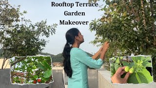 Terrace Garden Makeover vlog  మిద్దె తోట  Terrace Garden Tour  Mounica Diaries [upl. by Nayb]