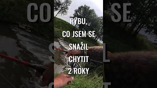 Rybu co jsem se snažil chytit 2 roky 🧠 shorts [upl. by Lyndsey653]