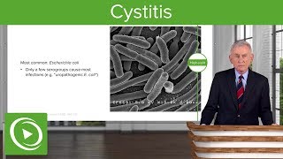 Cystitis Definition Causes and Epidemiology – Infectious Diseases  Lecturio [upl. by Karlene]