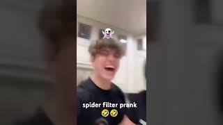 spider filter prank🤣🤣 [upl. by Christyna]