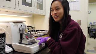 Postbac Life Lindsey Jay Demonstrates the Microtome [upl. by Casimire]