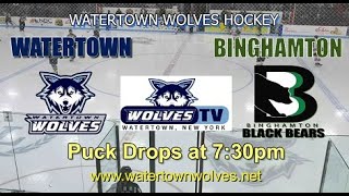 Binghamton Black Bears v Wolves 112924 730pm [upl. by Haerb]