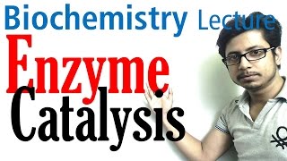 Enzyme catalysis mechanism biochemistry [upl. by Ad]