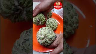 health benefits of custard apple  sitapalam health benefits in Telugu custardappleyoutubeshorts [upl. by Wilton23]