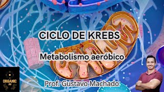 CICLO DE KREBS  Metabolismo aeróbico [upl. by Helse]