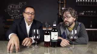 Best Wines Online Interview with Federico Giuntini of Fattoria Selvapiana [upl. by Sedberry47]