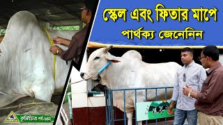 642শিখেনিন সঠিক ভাবে ফিতার মাপ এবং জেনেনিন স্কেল এবং ফিতার মাপের পার্থক্য Chitrapuri Krishi Chitra [upl. by Asilad]