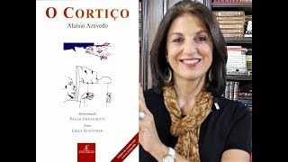 O CORTIÇO  Resumo e Análise Profa Dra em Literatura pela USP Miriam Bevilacqua [upl. by Ahsiel]